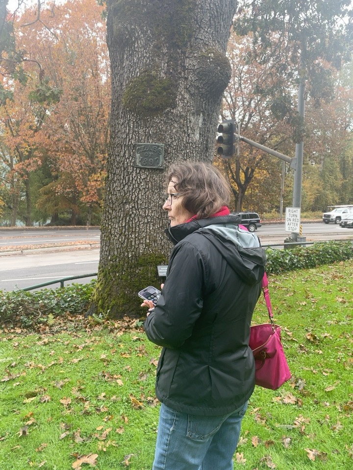 The other charter member stands beside the trunk of the surviving Condon Oak, its Class of 1897 plaque visible, Franklin Boulevard behind.